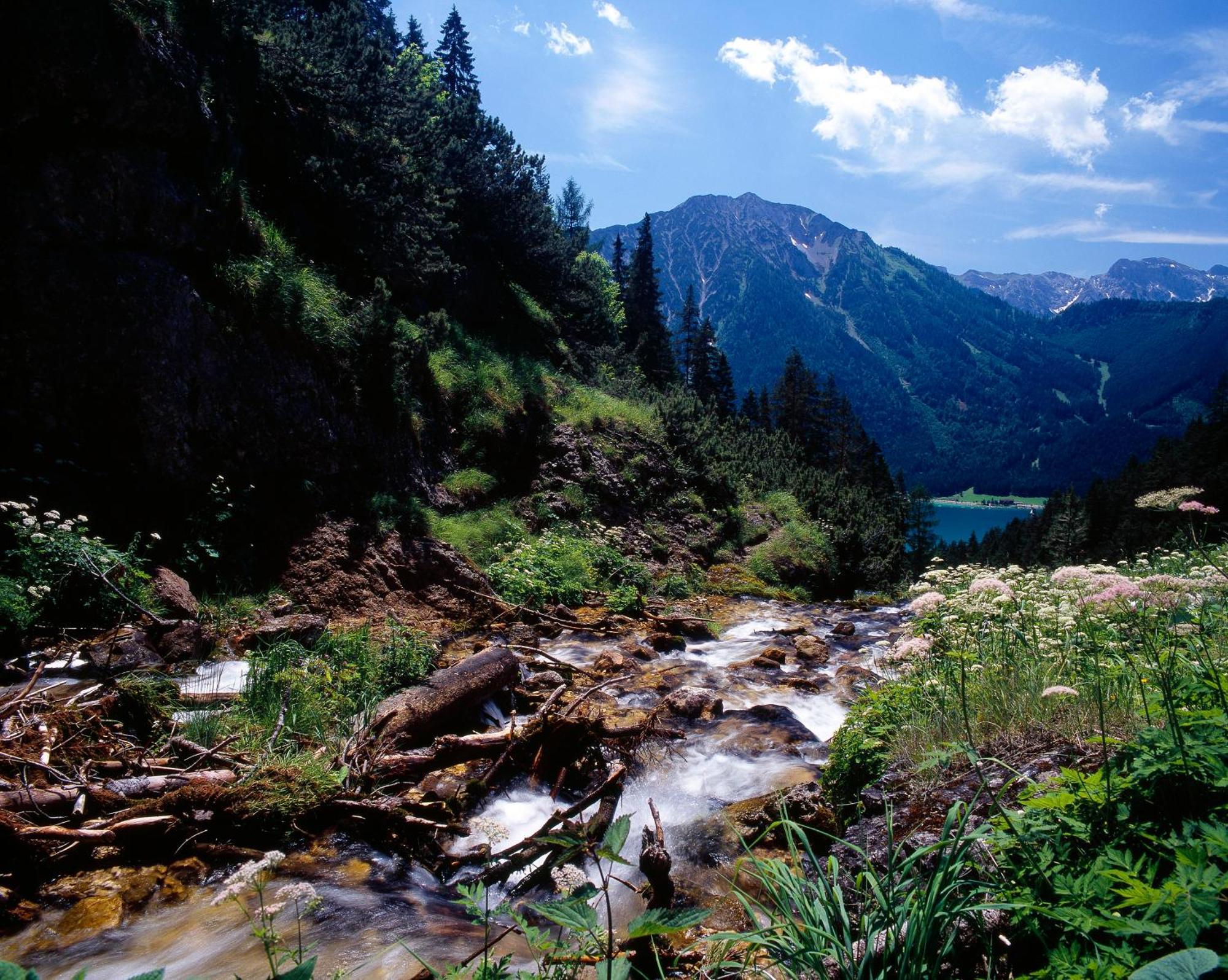 Chalet & Apartments Tiroler Bua Ахенкірх Номер фото